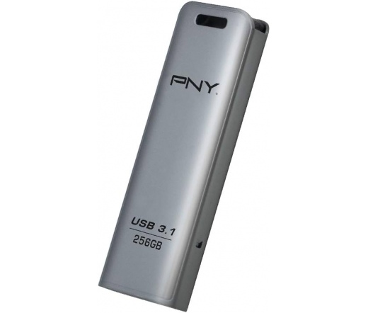 PNY Elite Steel 3.1 256GB