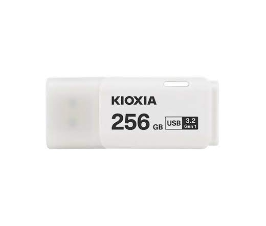 Kioxia TransMemory U301 USB3.2G1 256GB fehér