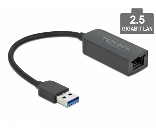 Delock USB Type-A / 2,5 Gigabit LAN 