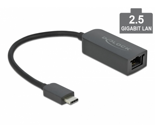 Delock USB Type-C / 2,5 Gigabit LAN