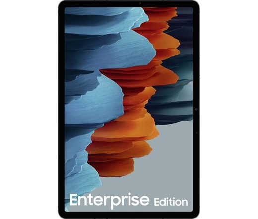 Samsung Galaxy Tab S7 LTE Enterprise Edition