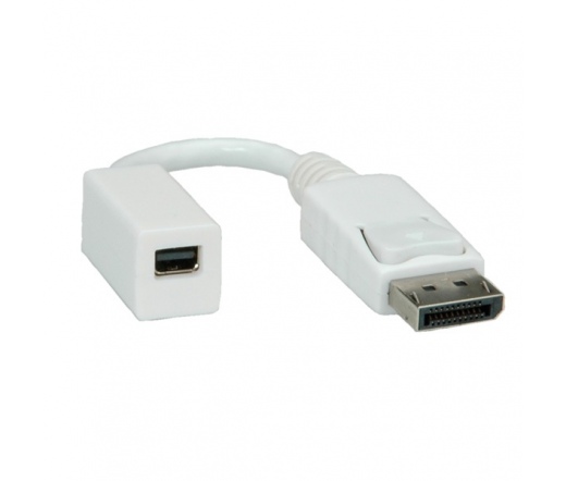 Roline DisplayPort - mini DisplayPort adapter M/F