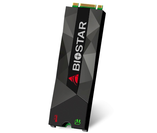 Biostar M500 M.2 NVMe 1.2 256GB