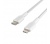 Belkin Lightning/USB-C kábel 1m Fehér