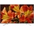 Sony KD65XF8505BAEP 4K Ultra HD Smart TV