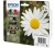 Epson 18XL Claria Home Multipack 4-színes tinta